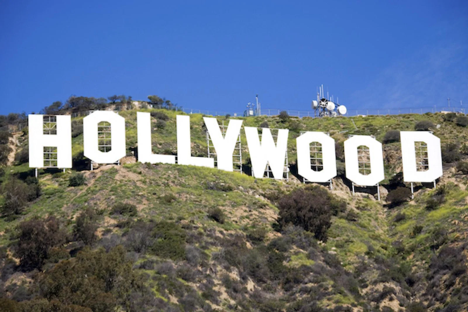 Image courtesy of the Hollywood Sign Trust