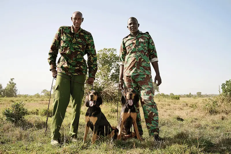 Ol Pejeta Kenya