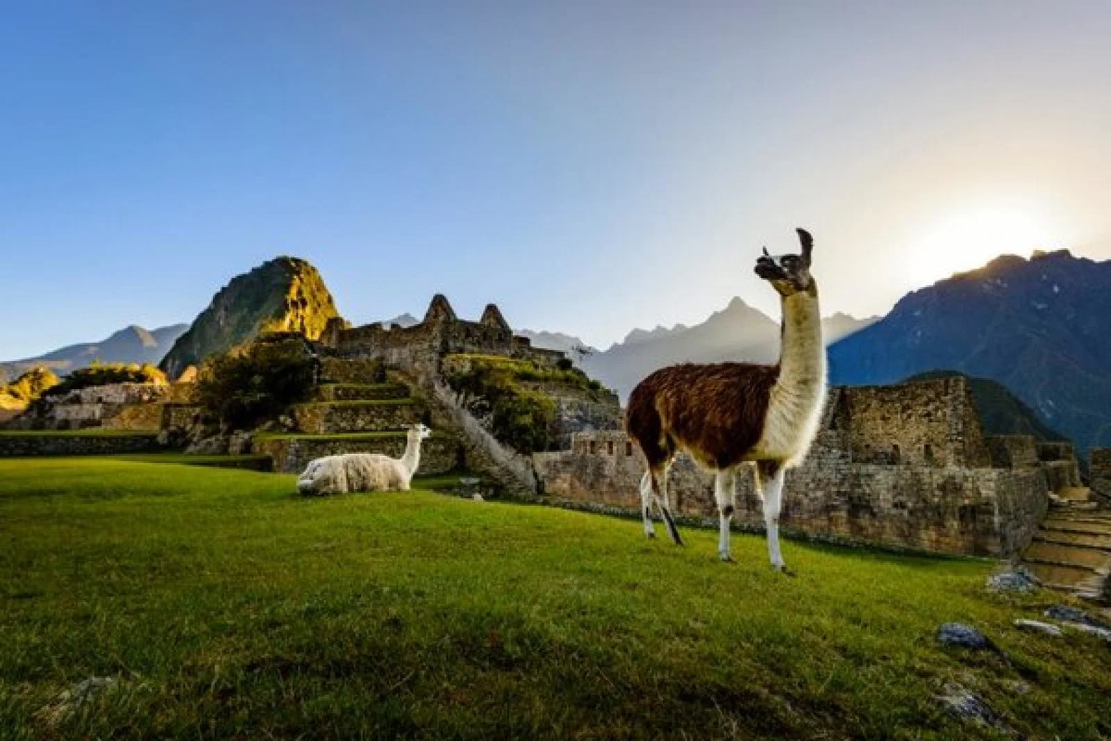 Peru is back, but what exactly has been going on there?