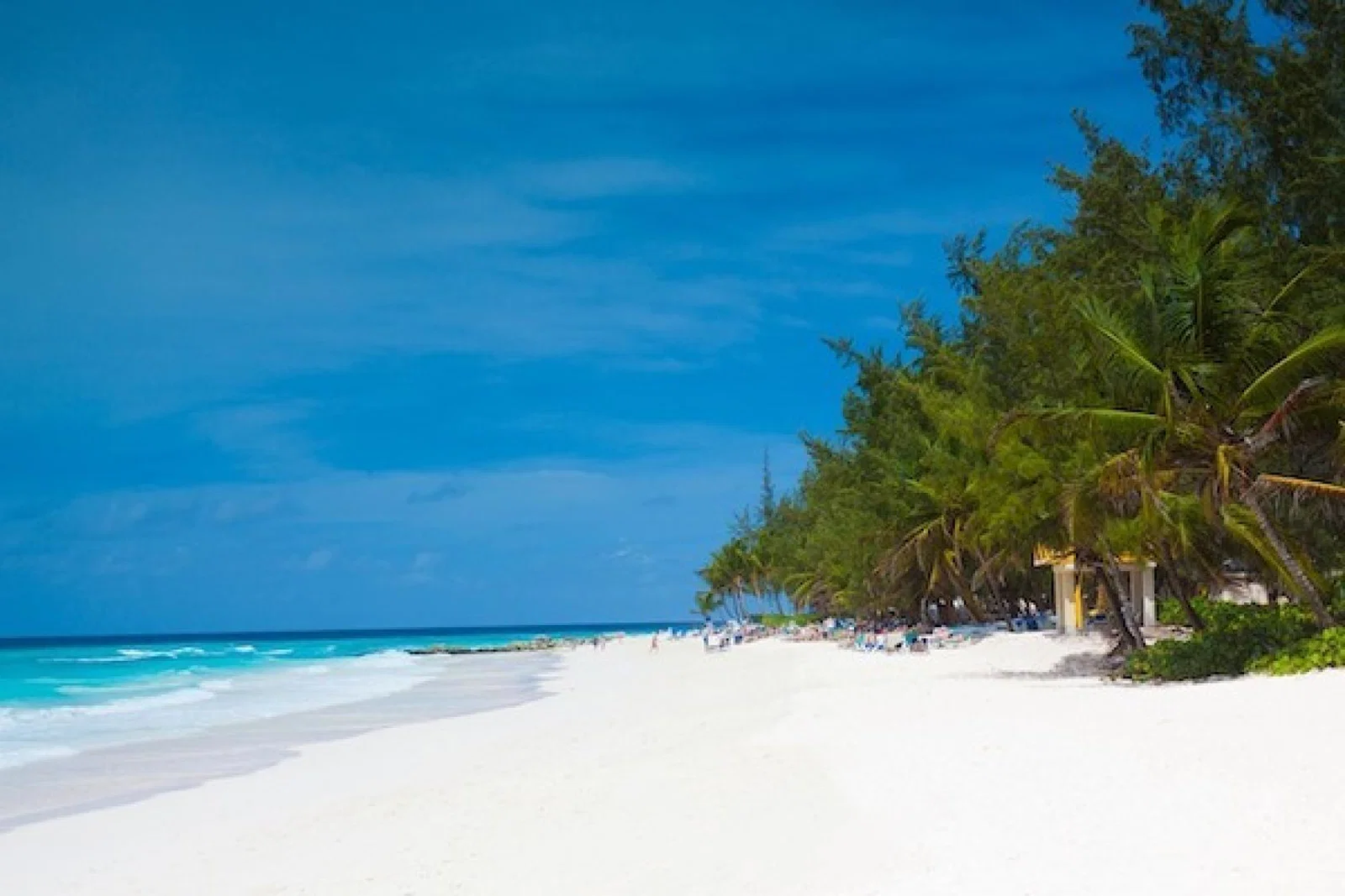 Barbados, oct23, Credit: PublicDomainPictures/Pixabay