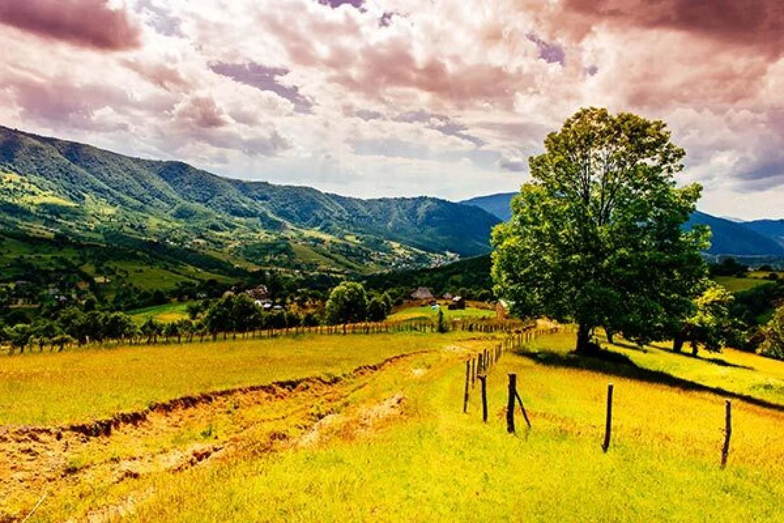 Carpathians, Ukraine