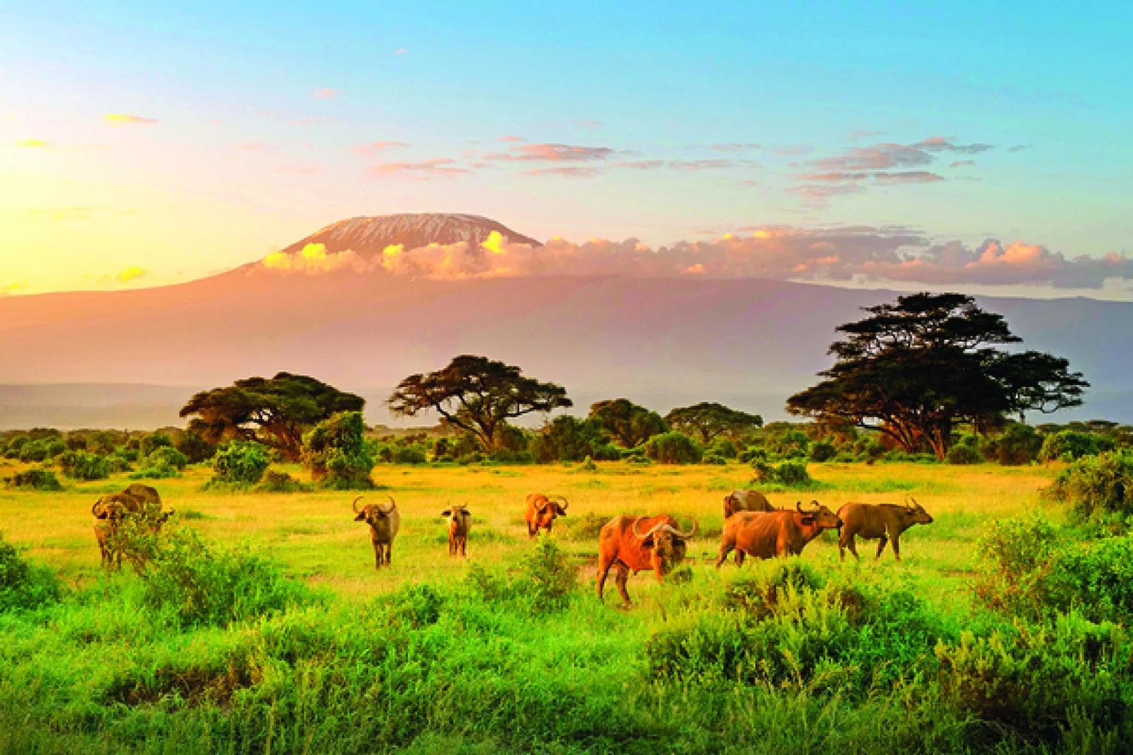 Tui to expand touring and multi-centre options for 2025