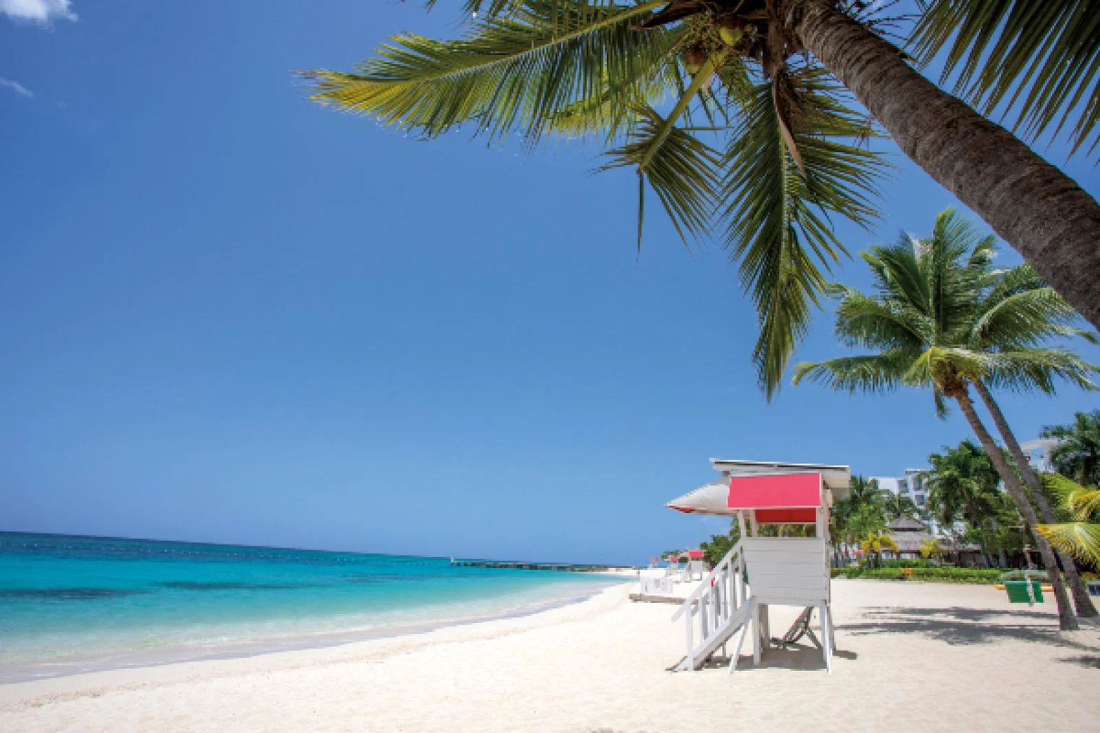 Jamaica