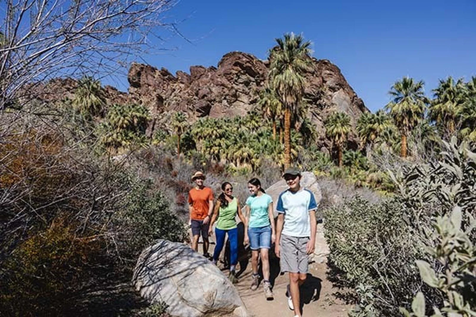 Visitors can explore the Oasis Trail at the Agua Caliente Cultural Plaza in Downtown Palm Springs