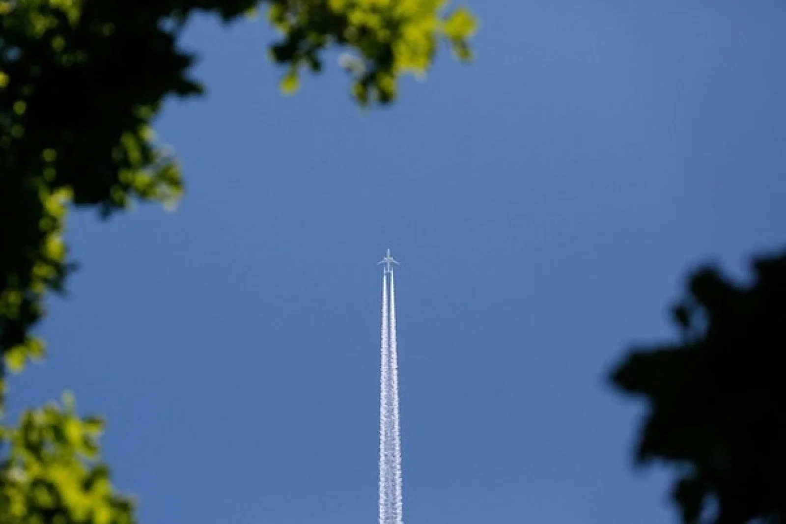 plane, may24, credit: schauhi/Pixabay