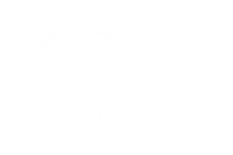 The Travel Network Group