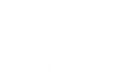 celeb xcel logo