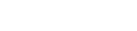 Tampa Bay white logo