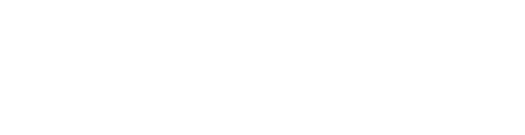 Visit Florida (white logo)