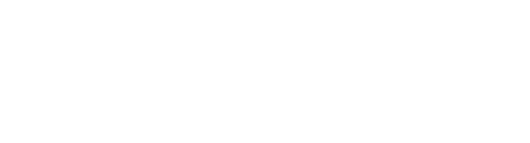 med_fest_26_logo