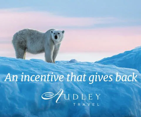 a polar bear on the ice, with words in front of it promoting the booking incentive