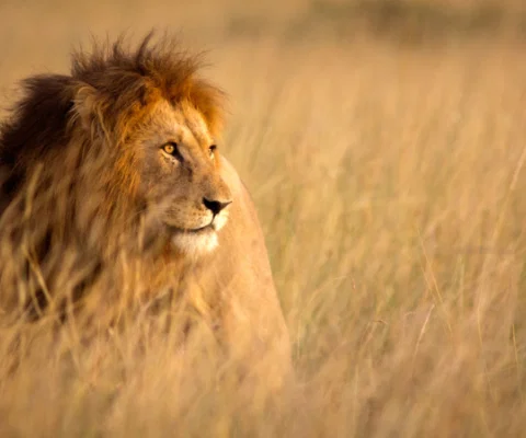 Win a place on an Africa fam trip