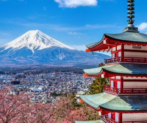 A snowcapped Mt Fuji 