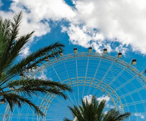 Orlando's Eye