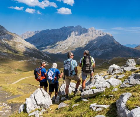 Picos de Europa
