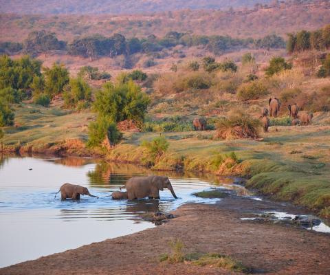 Kruger