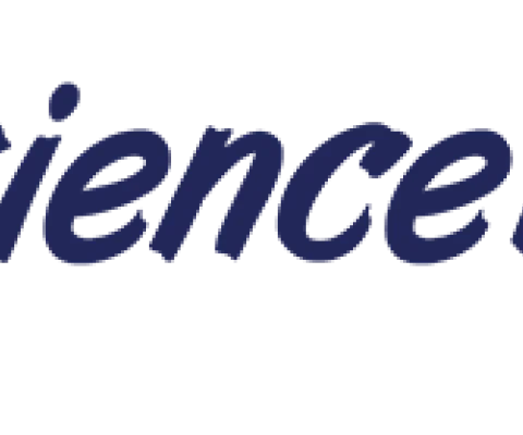 experience it now logo v2