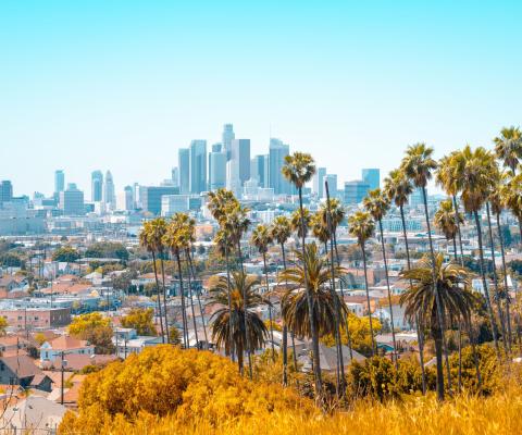View of Los Angeles skyline on sunny day with palm trees in foreground