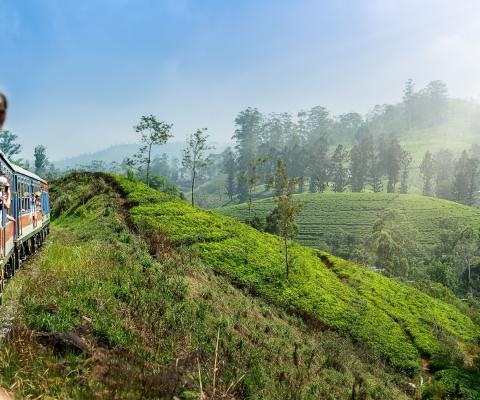 Sri Lanka train through tea country Ella to Kandy