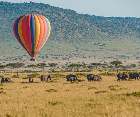 Masai Mara hot air balloon