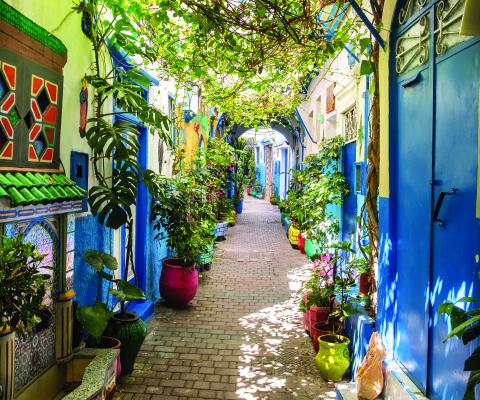 An image of the green tree-lined streets of  Tangier in Morocco - there are lovely blue walls and a tapestry to the left also. 