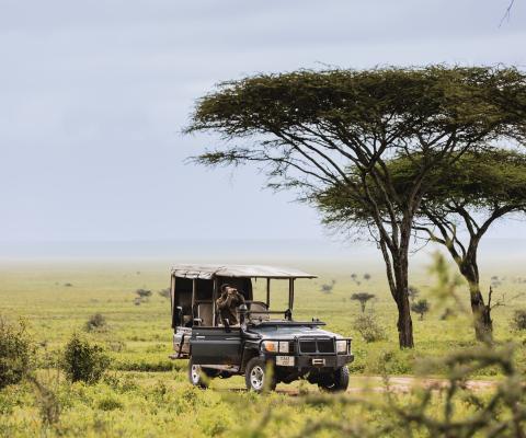 Mwiba Plains, Auberge Safari, Auberge Collection
