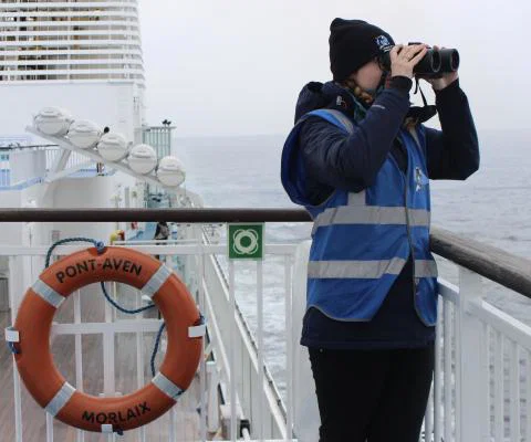 A wildlife surveyor from conservation charity ORCA stands on the deck of a ferry with binoculars looking out to sea in search of whales and dolphins.