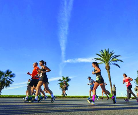 Runners with palm trees in the background. 
