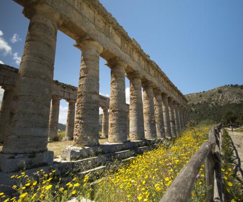 Temple in the ruins at Segesta, Sicily