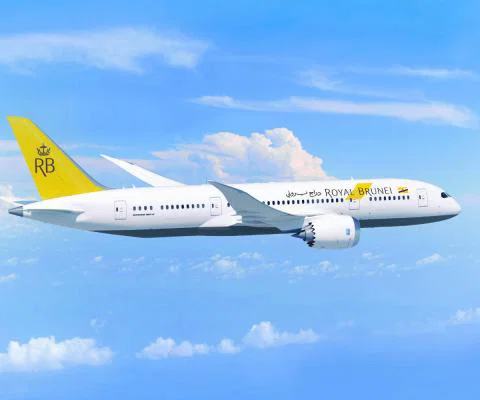 Dreamliner_5-cropped.jpg