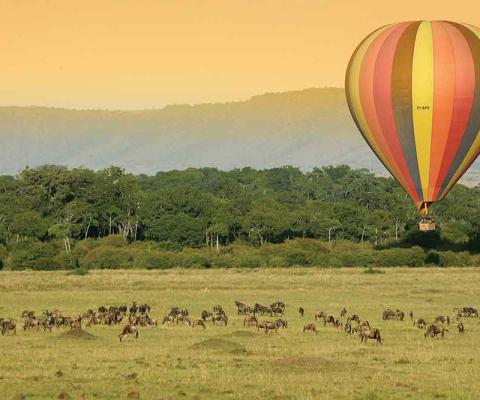 Hot air balloon