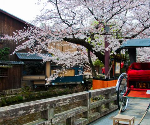 Kyoto Japan.jpg