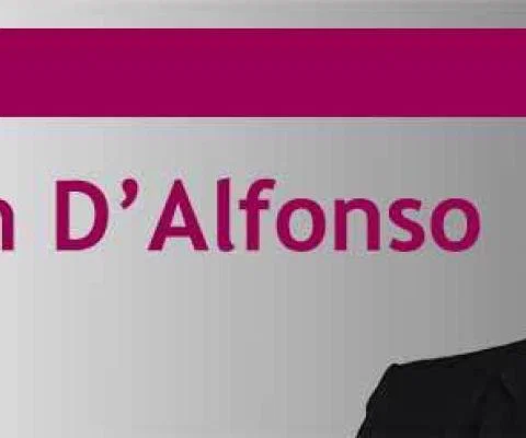Stephen DAlfonso opinion