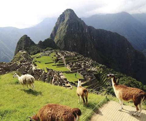 'The FCDO's nuanced response to Peru's troubles has been very welcome'