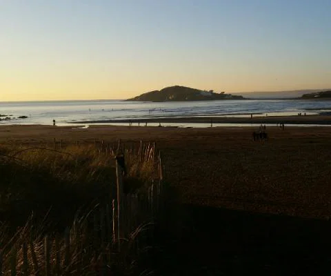 bantham.jpg