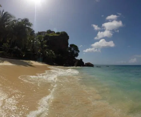 Tropical Beach ThinkstockPhotos-500255128.jpg