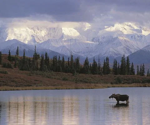 Alaska.jpg