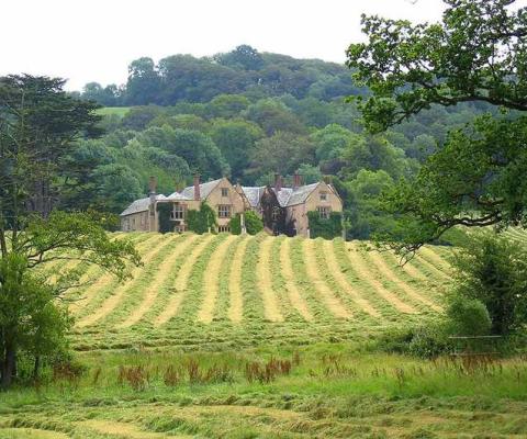 Combe-House-Devon-Summer.jpg