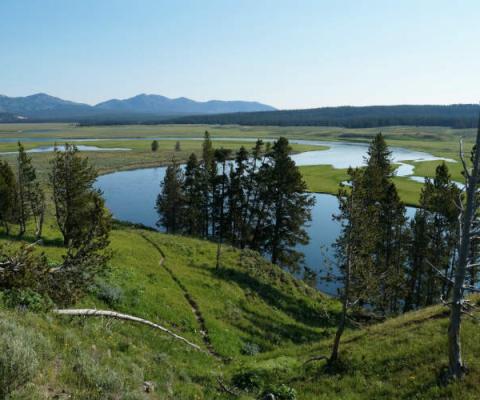 Yellowstone_National_Park_ThinkstockPhotos-511801004.jpg