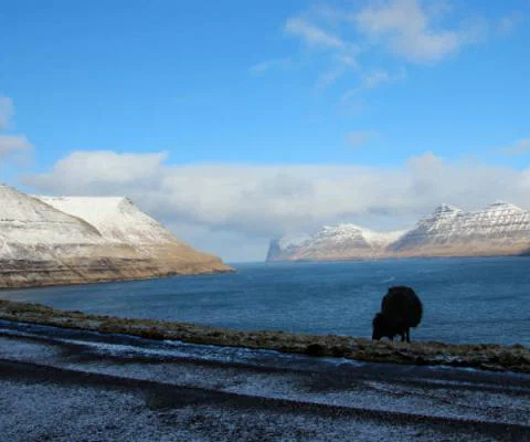 Faroe Islands ThinkstockPhotos-513549092