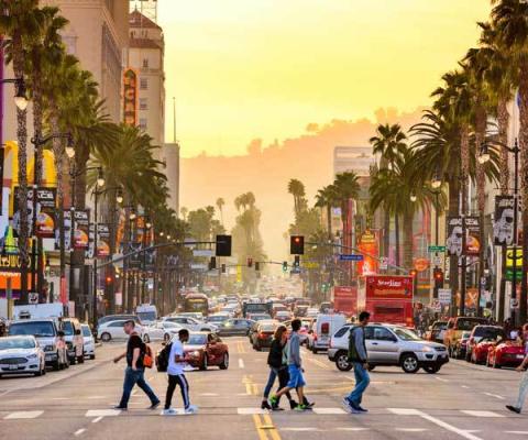 iStock_88396545_LARGE_LA.jpg