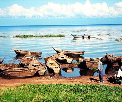 Lake Victoria, Uganda