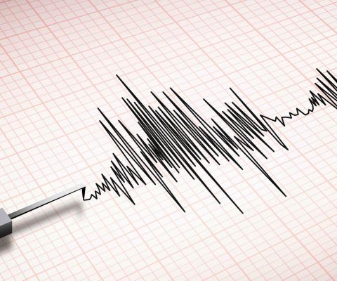 Seismograph_edit.jpg