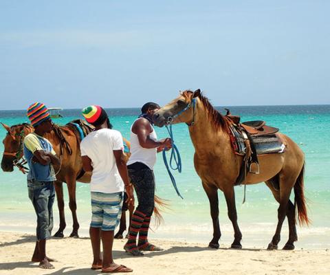 Jamaica-Hertiage-Horse-Ride-2.jpg