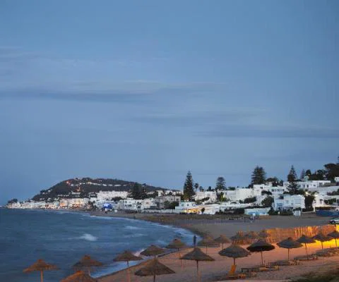Tunis iStock-596074604.jpg