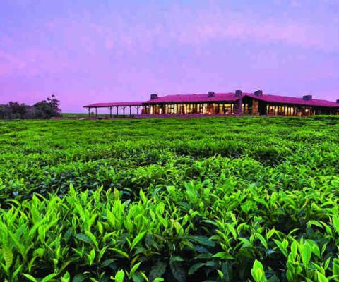 Nyungwe House OONH-lodges-hero-1440x900-min.jpg