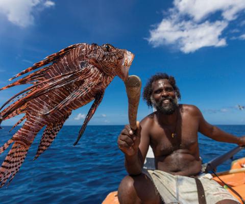 Lionfish.jpg