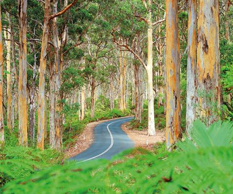 Margaret_river_road