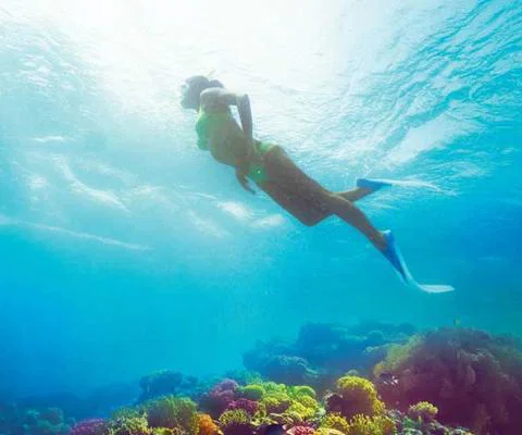 Hurghada diving