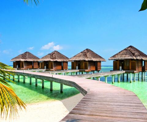 LUX_South_Ari_Atoll_-_Maldives.jpg